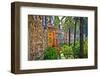 Real Alcazar Gardens in Seville, Andalusia, Spain-Aleksandar Todorovic-Framed Photographic Print