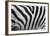 Real Zebra Pattern Close-Up. Black and White Stripes Background-Michal Bednarek-Framed Photographic Print