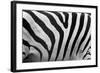 Real Zebra Pattern Close-Up. Black and White Stripes Background-Michal Bednarek-Framed Photographic Print