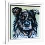 Realistic Australian Shepard-Carolee Vitaletti-Framed Art Print