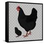 Realistic Black Chicken and Baby Chick Side View-dNaya-Framed Stretched Canvas