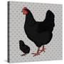 Realistic Black Chicken and Baby Chick Side View-dNaya-Stretched Canvas