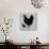 Realistic Black Chicken and Baby Chick Side View-dNaya-Art Print displayed on a wall