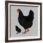 Realistic Black Chicken and Baby Chick Side View-dNaya-Framed Art Print