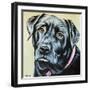 Realistic Black Lab-Carolee Vitaletti-Framed Art Print