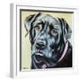 Realistic Black Lab-Carolee Vitaletti-Framed Art Print