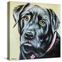 Realistic Black Lab-Carolee Vitaletti-Stretched Canvas