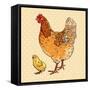 Realistic Broody Chicken and Baby Chick Side View-dNaya-Framed Stretched Canvas