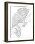 Realistic Wildlife 26-Drawpaint Illustration-Framed Giclee Print