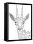 Realistic Wildlife 27-Drawpaint Illustration-Framed Stretched Canvas