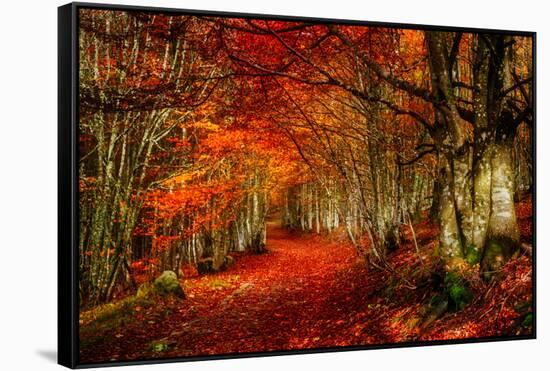 Reality and Dream-Philippe Sainte-Laudy-Framed Stretched Canvas