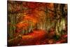 Reality and Dream-Philippe Sainte-Laudy-Stretched Canvas