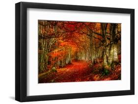 Reality and Dream-Philippe Sainte-Laudy-Framed Premium Photographic Print