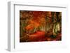 Reality and Dream-Philippe Sainte-Laudy-Framed Premium Photographic Print