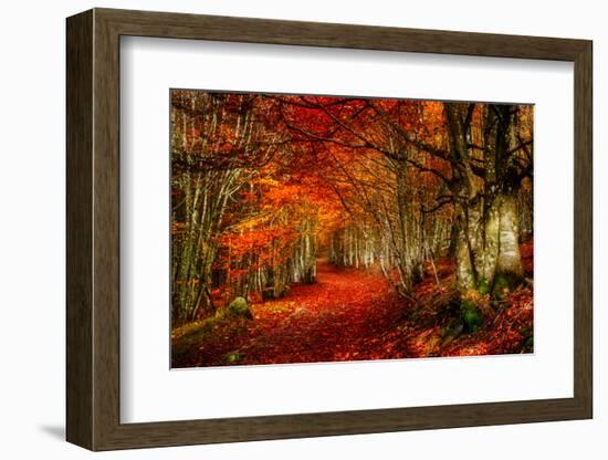 Reality and Dream-Philippe Sainte-Laudy-Framed Photographic Print