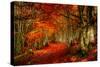 Reality and Dream-Philippe Sainte-Laudy-Stretched Canvas