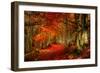 Reality and Dream-Philippe Sainte-Laudy-Framed Photographic Print