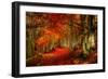 Reality and Dream-Philippe Sainte-Laudy-Framed Photographic Print