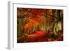 Reality and Dream-Philippe Sainte-Laudy-Framed Photographic Print