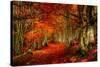 Reality and Dream-Philippe Sainte-Laudy-Stretched Canvas