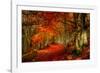 Reality and Dream-Philippe Sainte-Laudy-Framed Photographic Print