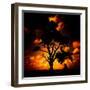 Reality Tree-Mark James Gaylard-Framed Photographic Print