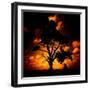 Reality Tree-Mark James Gaylard-Framed Photographic Print