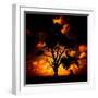 Reality Tree-Mark James Gaylard-Framed Photographic Print