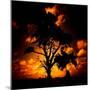 Reality Tree-Mark James Gaylard-Mounted Photographic Print