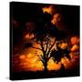 Reality Tree-Mark James Gaylard-Stretched Canvas