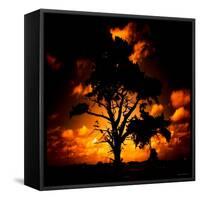 Reality Tree-Mark James Gaylard-Framed Stretched Canvas