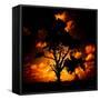 Reality Tree-Mark James Gaylard-Framed Stretched Canvas