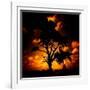 Reality Tree-Mark James Gaylard-Framed Photographic Print