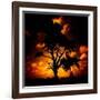 Reality Tree-Mark James Gaylard-Framed Photographic Print