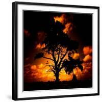 Reality Tree-Mark James Gaylard-Framed Photographic Print