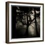 Realpoint-Sharon Wish-Framed Premium Photographic Print