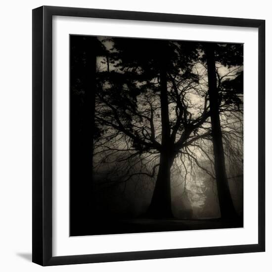 Realpoint-Sharon Wish-Framed Premium Photographic Print