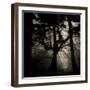 Realpoint-Sharon Wish-Framed Photographic Print