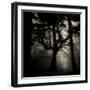 Realpoint-Sharon Wish-Framed Photographic Print