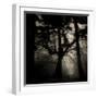 Realpoint-Sharon Wish-Framed Photographic Print