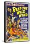 Reap the Wild Wind, Ray Milland, Paulette Goddard, 1942-null-Framed Stretched Canvas