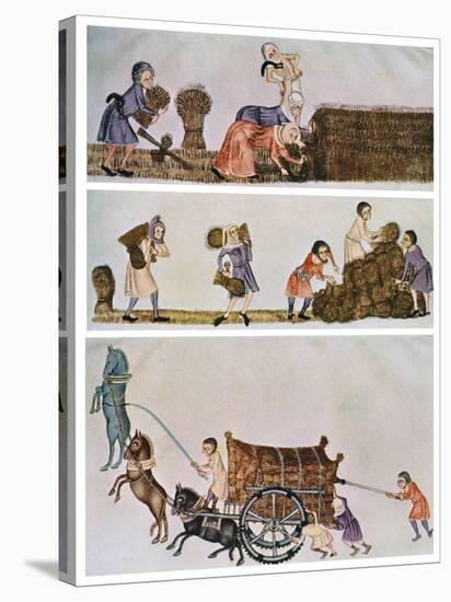 Reaping, Carrying, and Carting, C1300-1340, (C1900-192)-null-Stretched Canvas