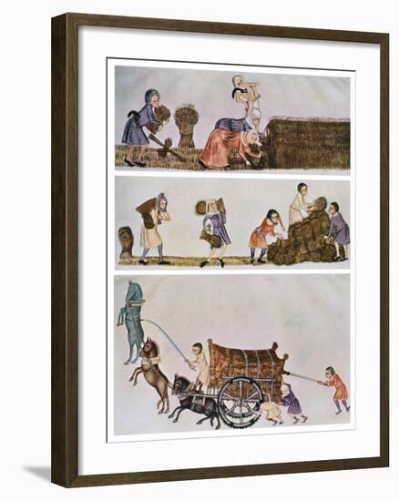 Reaping, Carrying, and Carting, C1300-1340, (C1900-192)-null-Framed Giclee Print