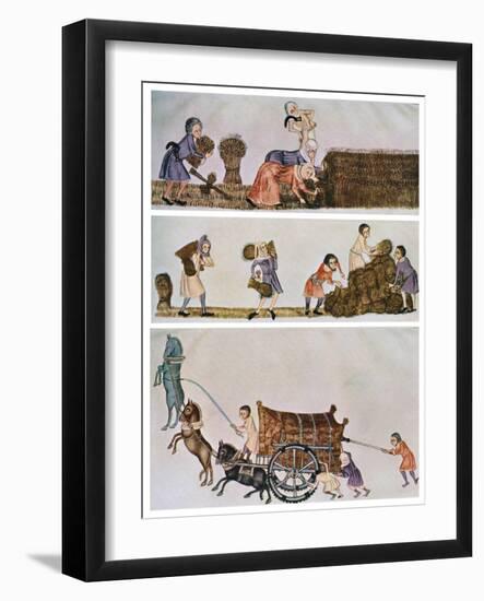 Reaping, Carrying, and Carting, C1300-1340, (C1900-192)-null-Framed Giclee Print