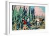 Reaping Sugar Canes in the West Indies-Frank Newbould-Framed Giclee Print