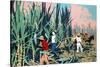 Reaping Sugar Canes in the West Indies-Frank Newbould-Stretched Canvas