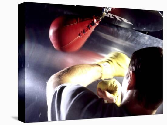 Rear View of a Boxer Punching a Punching Bag-null-Stretched Canvas