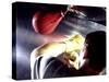 Rear View of a Boxer Punching a Punching Bag-null-Stretched Canvas