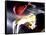 Rear View of a Boxer Punching a Punching Bag-null-Framed Stretched Canvas