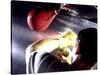 Rear View of a Boxer Punching a Punching Bag-null-Stretched Canvas